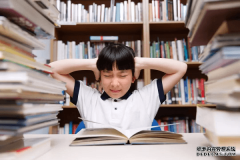 年龄偏小、零基础的初中生，能去学IT吗？